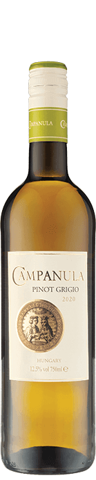 Campanula Pinot Grigio 2020