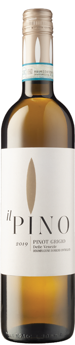 Il Pino Pinot Grigio 2019