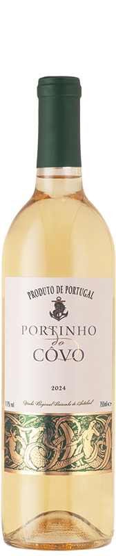 Portinho do Côvo Branco 2024 Portinho do Côvo Branco 2024