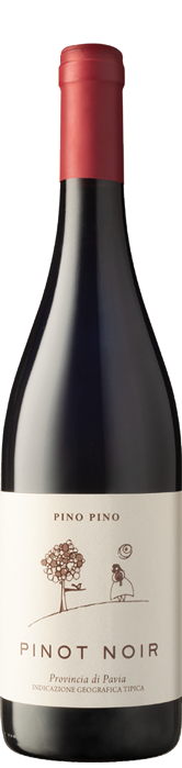 Pino Pino 2018