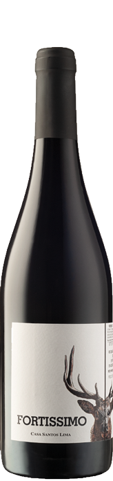 Fortissimo 2019 Fortissimo 2019