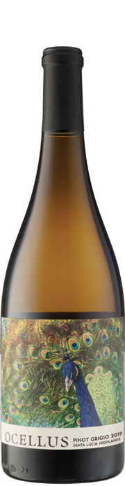 Ocellus Pinot Grigio