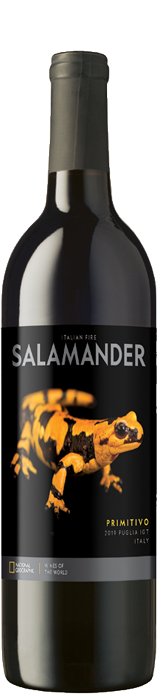 National Geographic Salamander Primitivo 2019 National Geographic Salamander Primitivo 2019