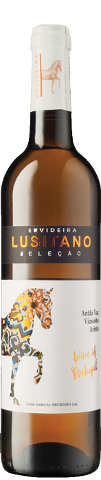 Ervideira Lusitano 2019