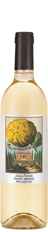 Lima Dorata Pinot Grigio 2024 Lima Dorata Pinot Grigio 2024