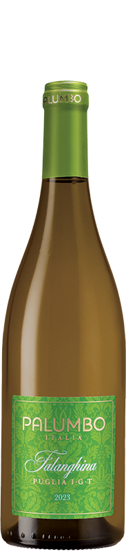 Palumbo Falanghina 2023 Palumbo Falanghina 2023