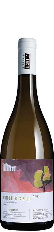 Kellerei Aichholz Pinot Bianco Kellerei Aichholz Pinot Bianco