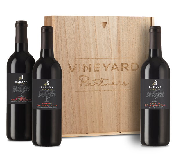 Opulent Amarone Trio in Wood Box