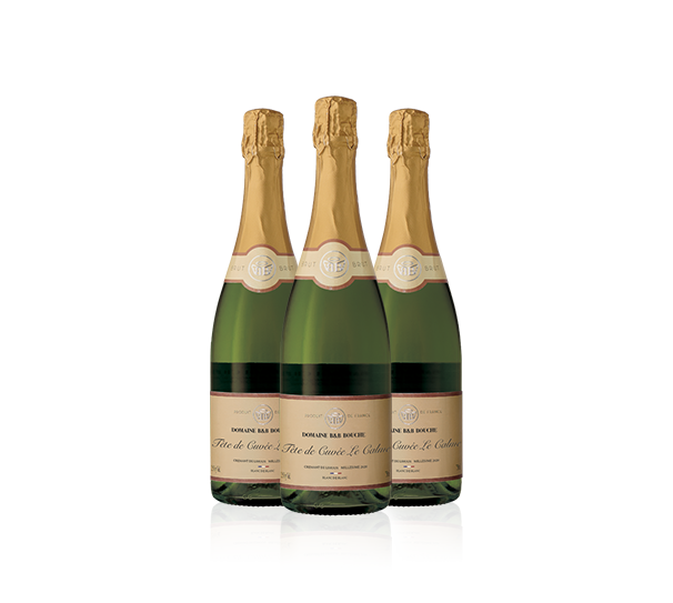 Domaine B&B Bouché Cuvée Le Calme Trio