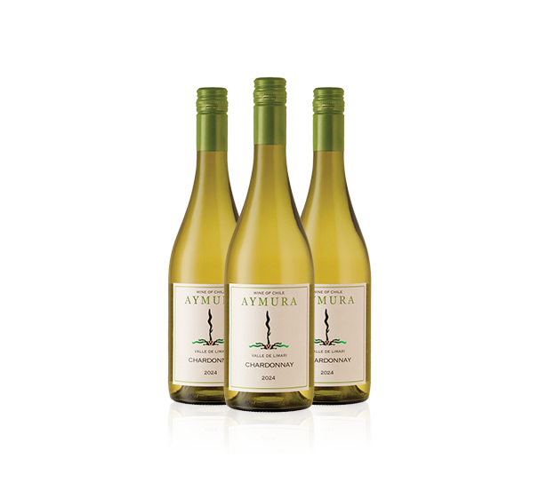 Aymura Chardonnay 2024 – 3 btls Aymura Chardonnay 2024 – 3 btls