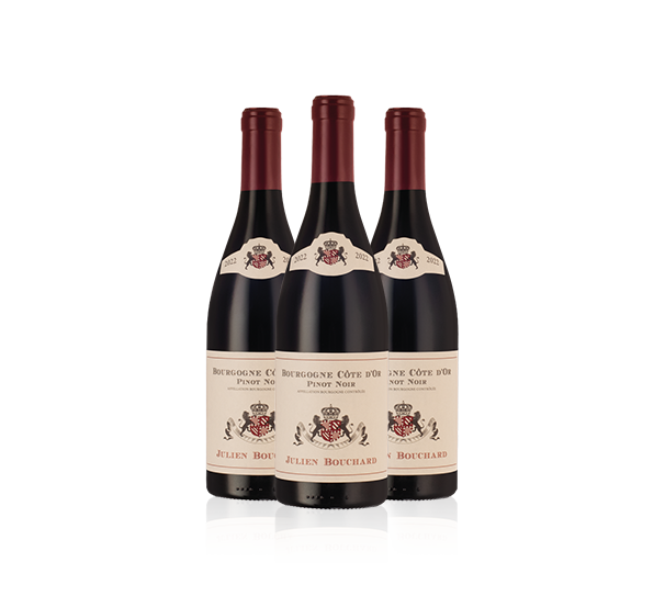 Julien Bouchard Bourgogne Cote d'Or Pinot Noir Trio