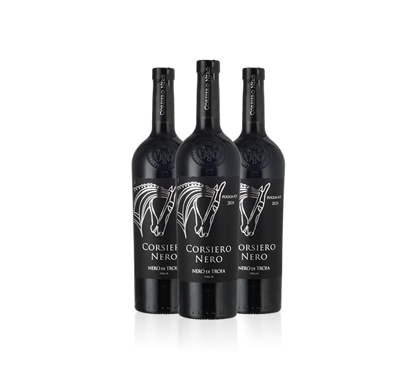 Corsiero Nero 2024 - 3 btls