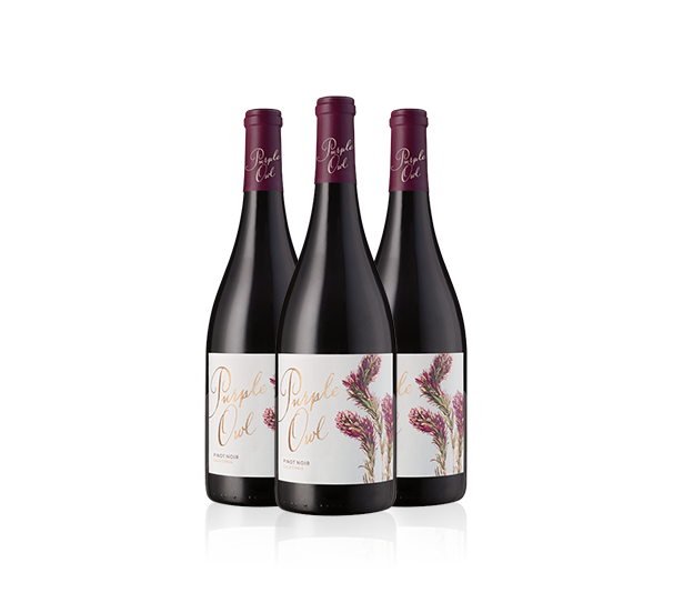 Purple Owl Pinot Noir 2024 Trio Purple Owl Pinot Noir 2024 Trio