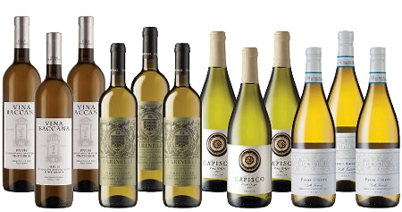 Crisp Italian Pinot Grigio Dozen—Add-On Deal Crisp Italian Pinot Grigio Dozen—Add-On Deal