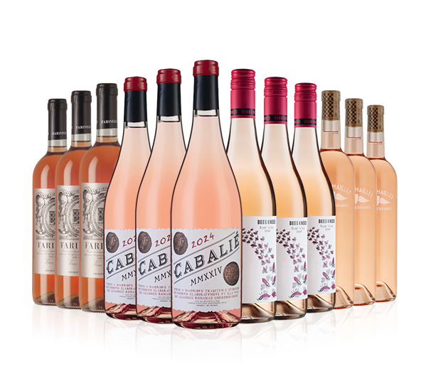 Rose for Any Day Rose for Any Day