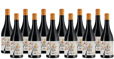 Altos R Pigeage 2020 (12 bottles)