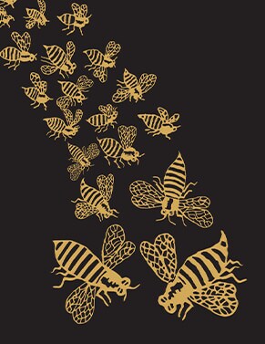 south african viognier sale