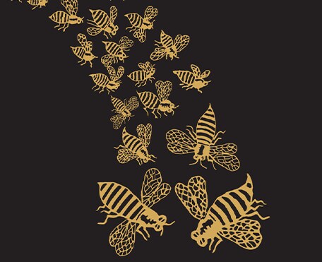 south african viognier sale