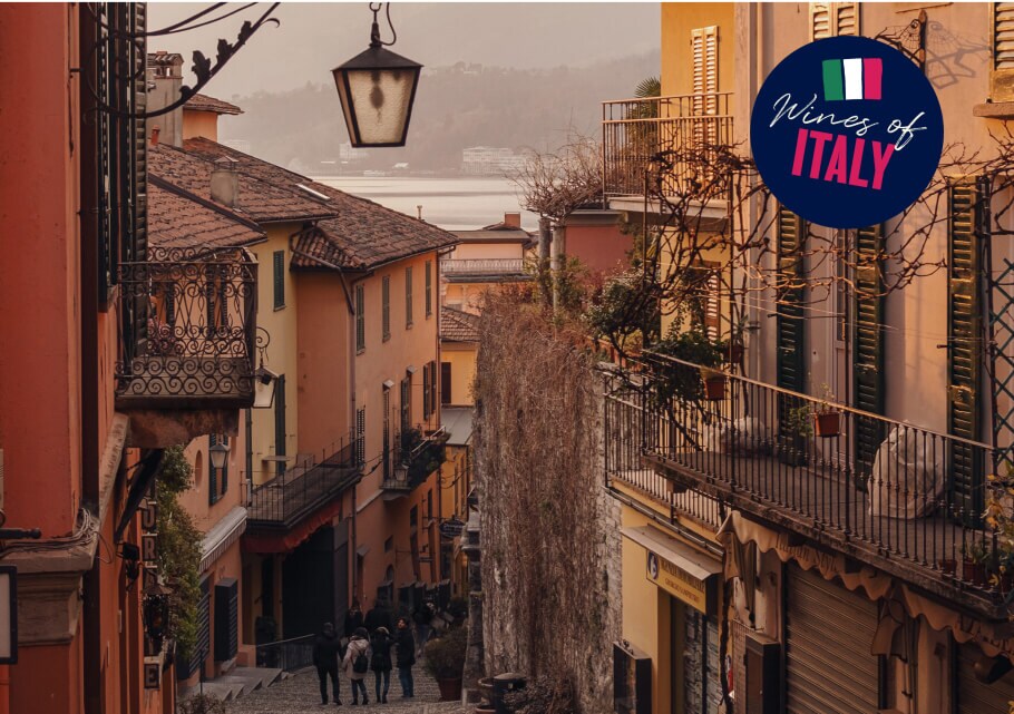 Italian red wine for holidays