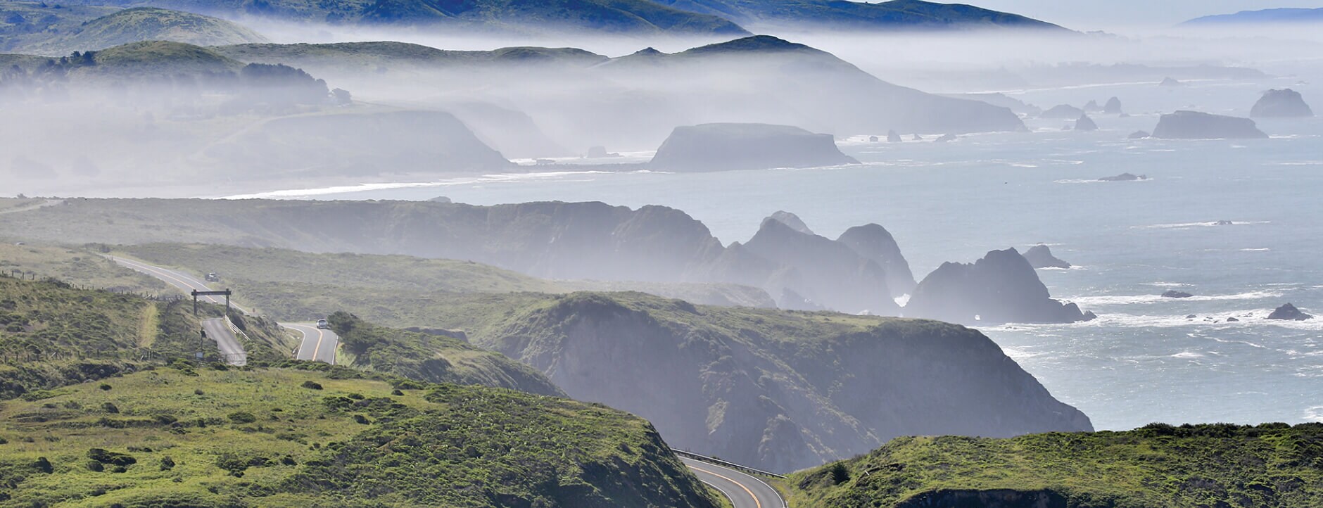 California cabernet sale