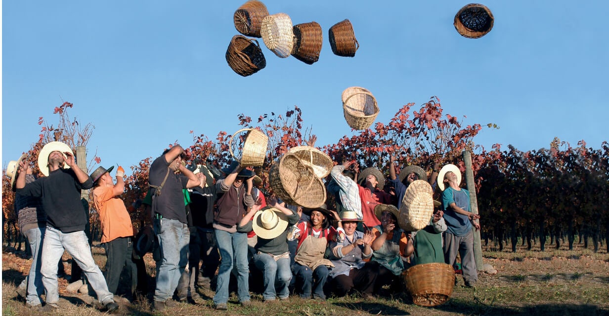  World Malbec Day 2023