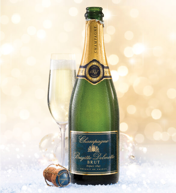 Brigitte Delmotte Brut