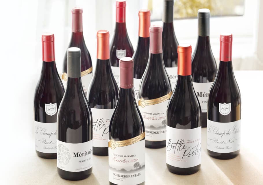pinot noir wines