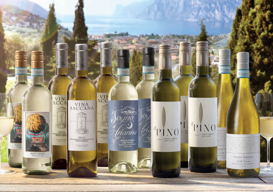 pinot grigio wines italy