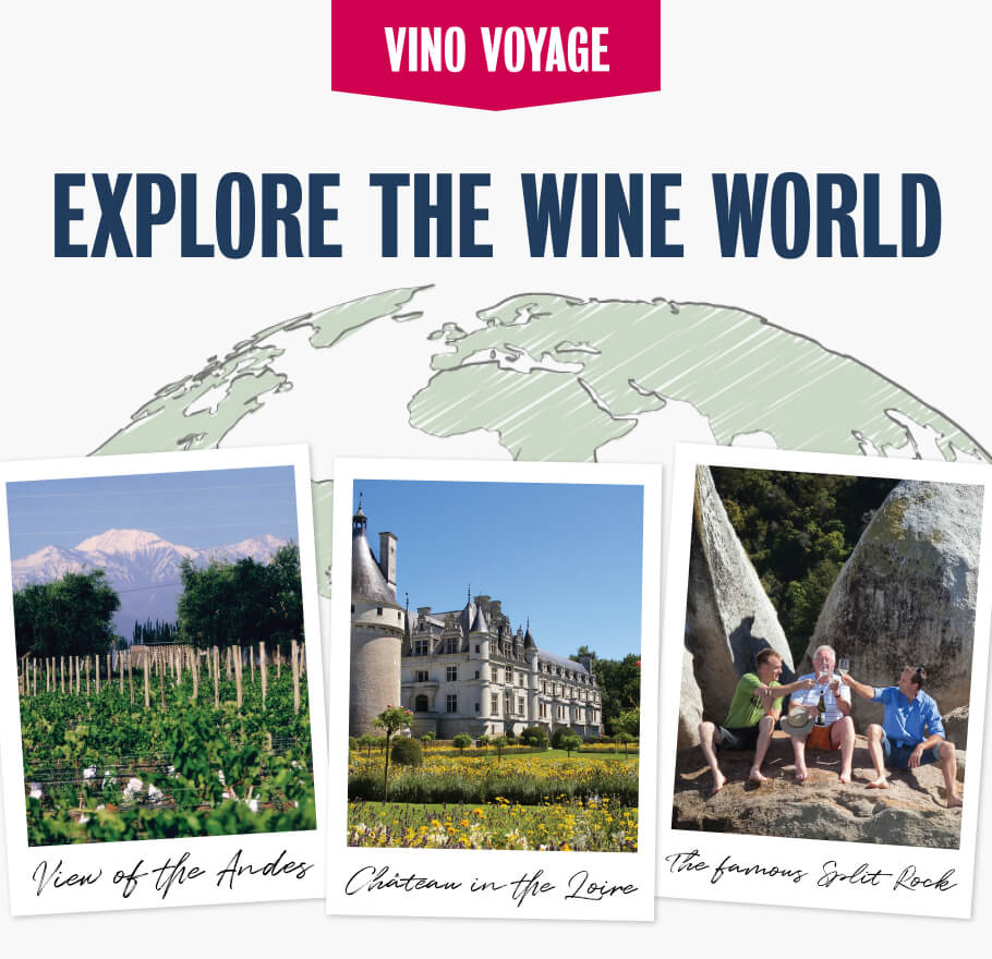 Expolore the world of wine